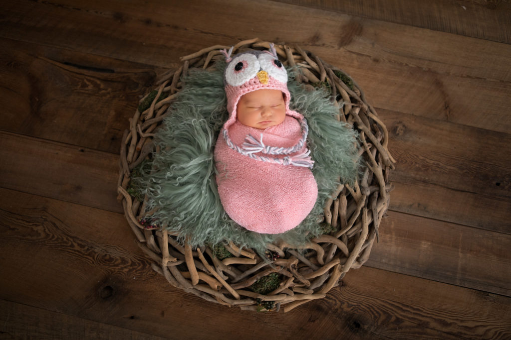 Baby Owl Newborn photo